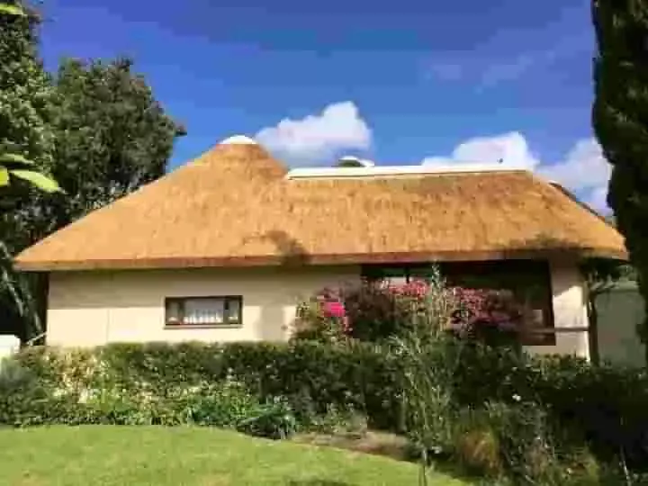 A thatched roof house with a garden and blue sky