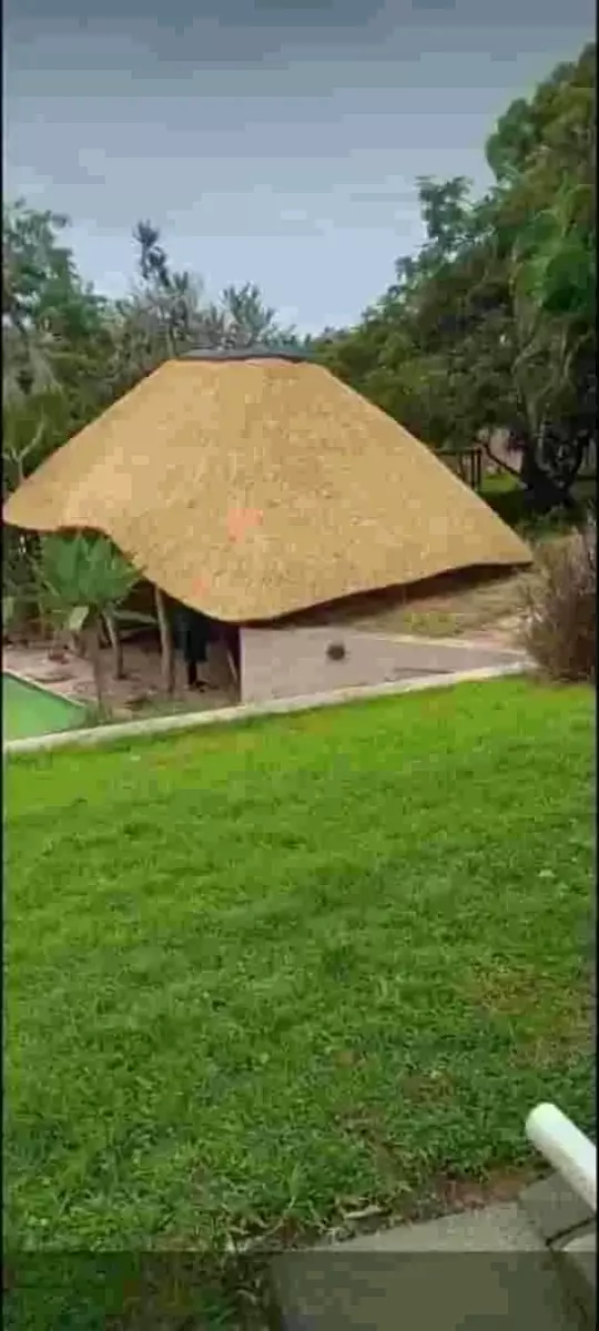 A thatched lapa structure in a green garden