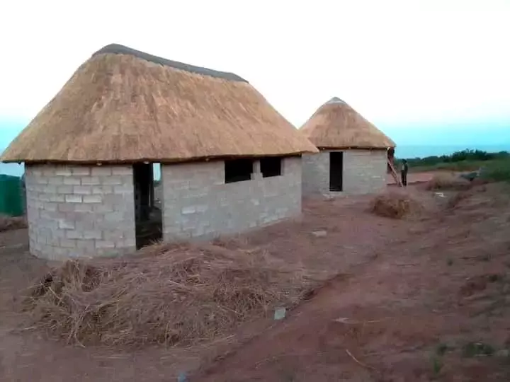 Two traditional brick roundhouses with thatched roofs under construction