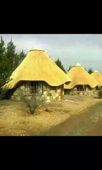 Round thatched-roof chalets in a rustic outdoor setting